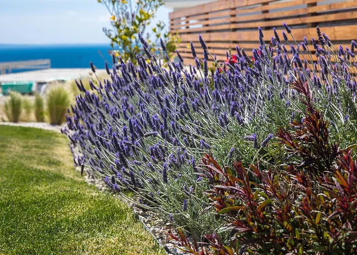 Βίλα Arthill Eco